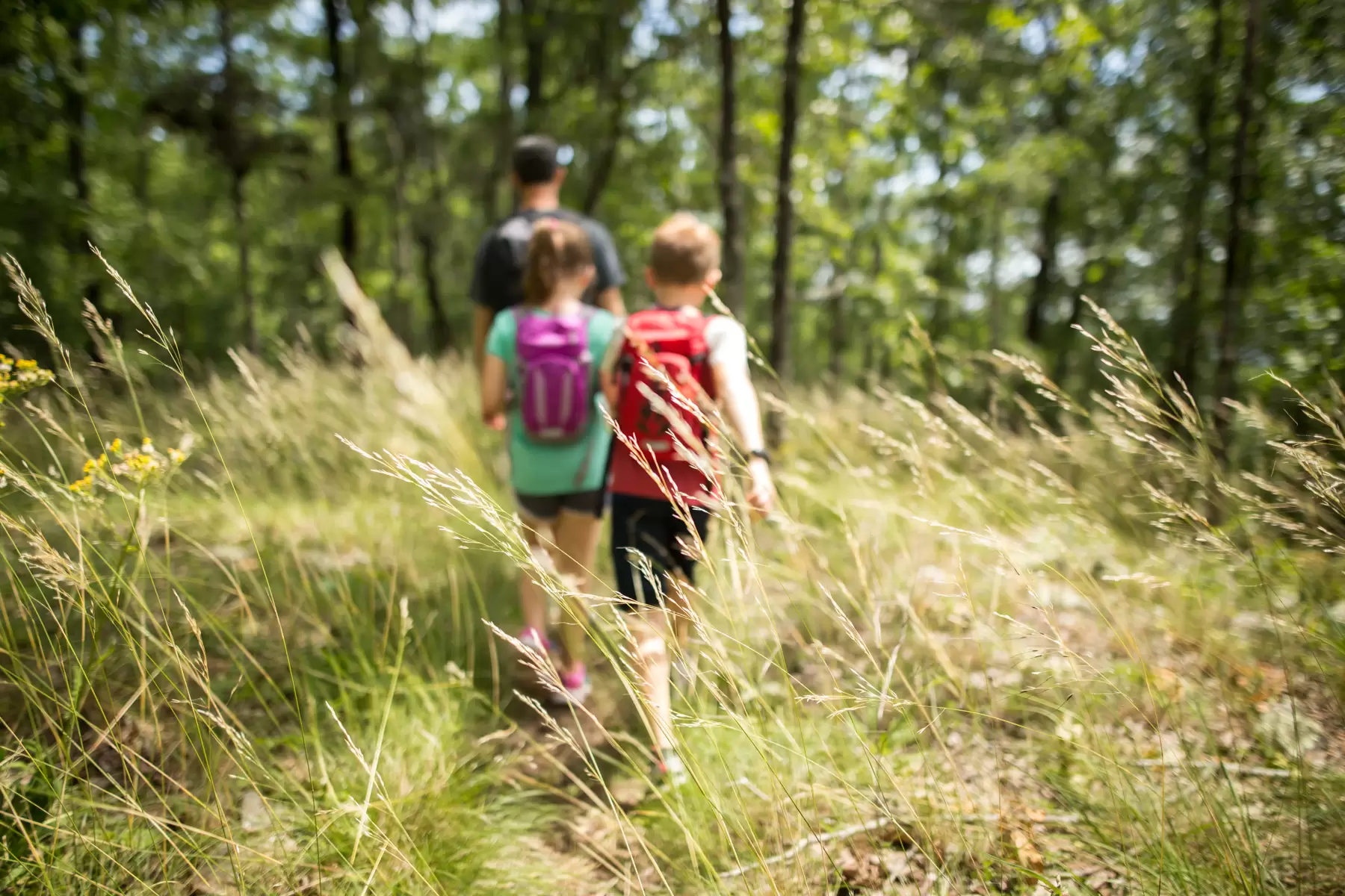 An Insider’s Guide to Hiking Oak Mountain