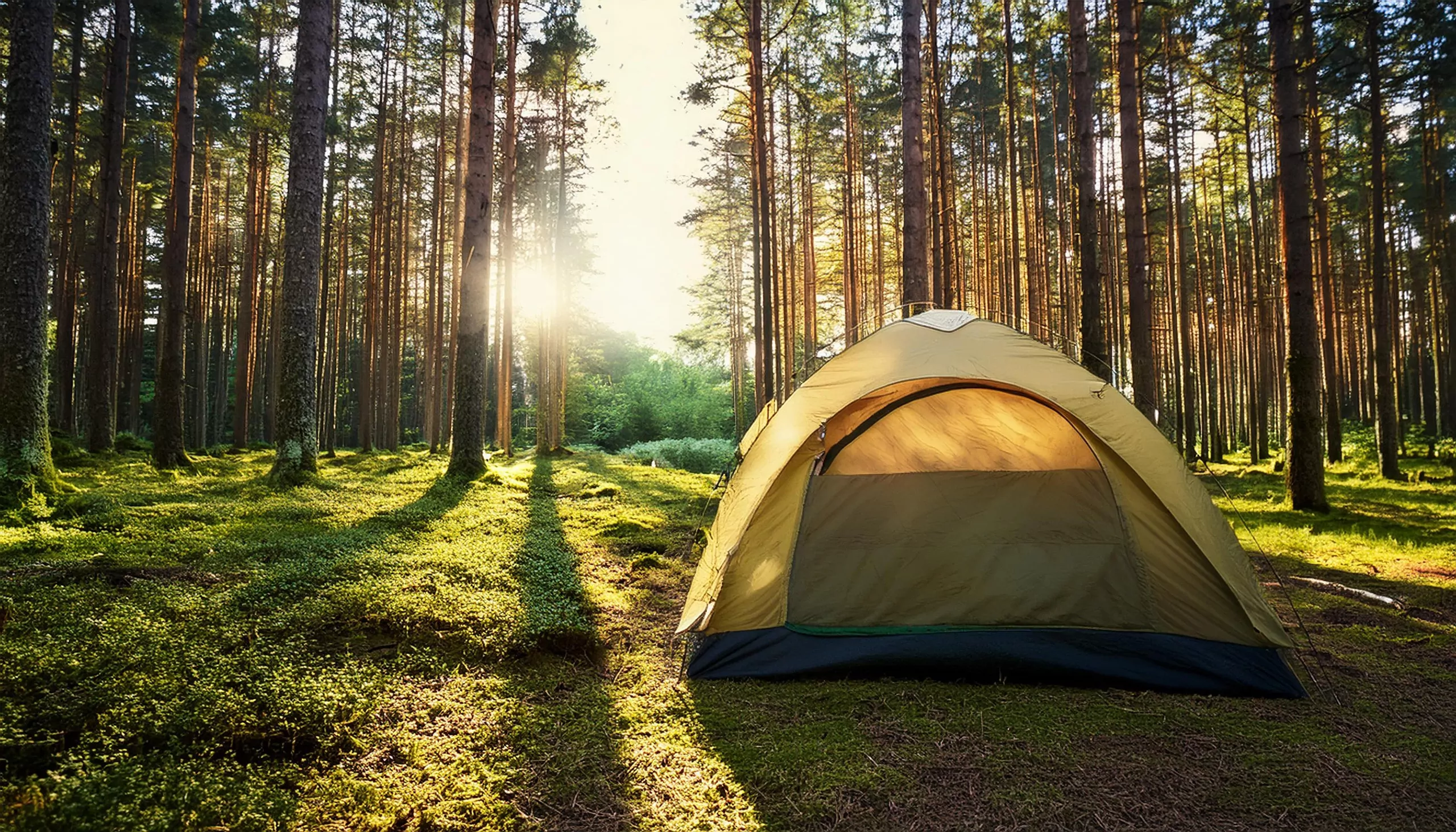 Top Tips for Camping in Alabama